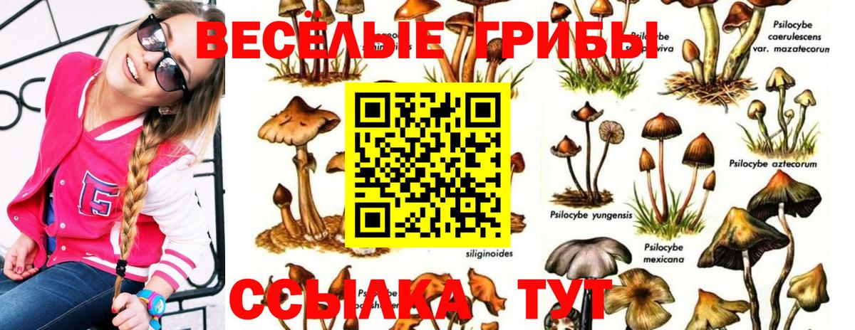 Псилоцибиновые грибы мухоморы Острогожск