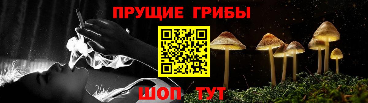 Острогожск  Галлюциногенные грибы GOLDEN TEACHER  дарнет шоп  Вход с VPN  Галлюциногенные грибы GOLDEN TEACHER 